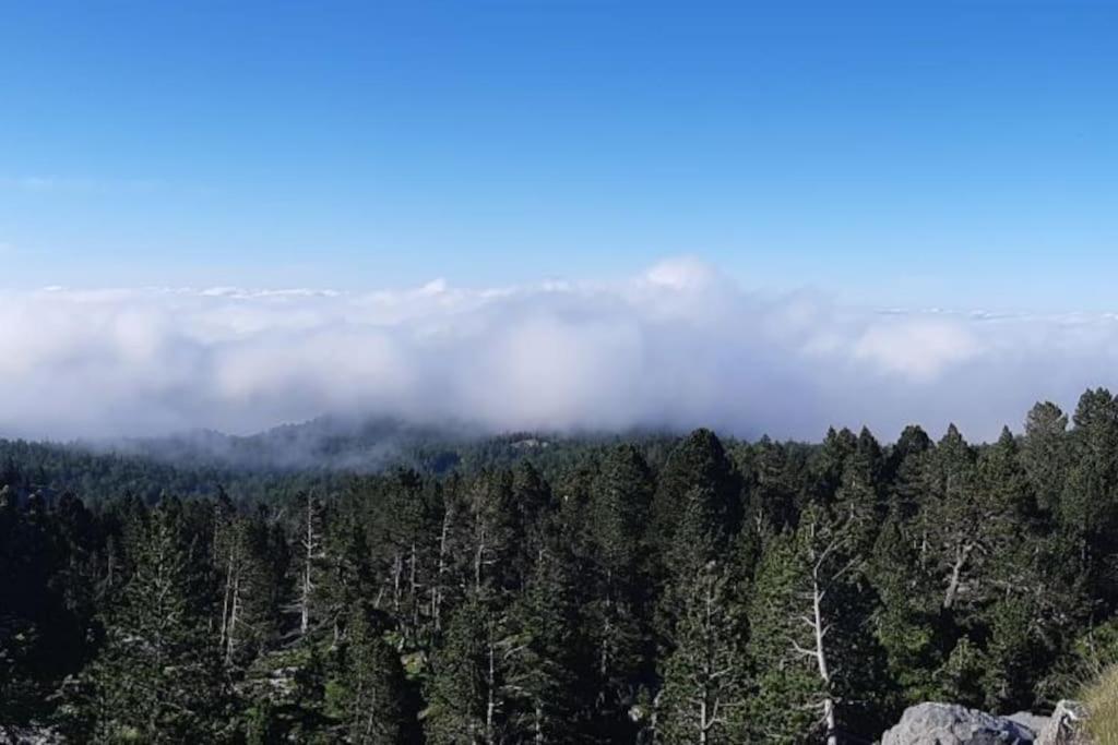 Refait Au Gout Du Jour Vue Sur La Vallee Appartement La Pierre Saint-Martin